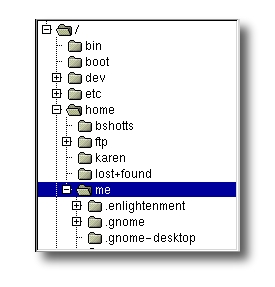 directory tree